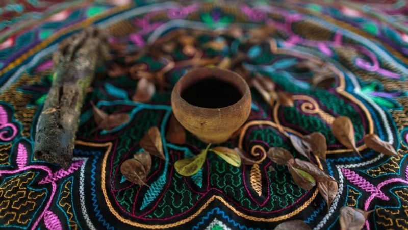 What Is Ayahuasca?