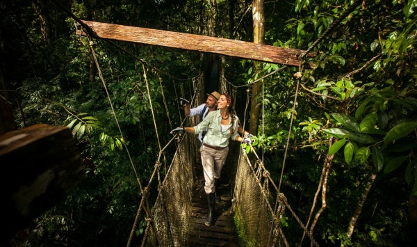 The Perks of an Amazon River Cruise