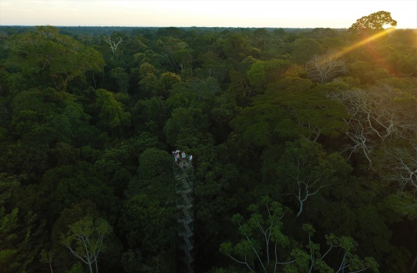 Become Scientists in the Jungle of Peru