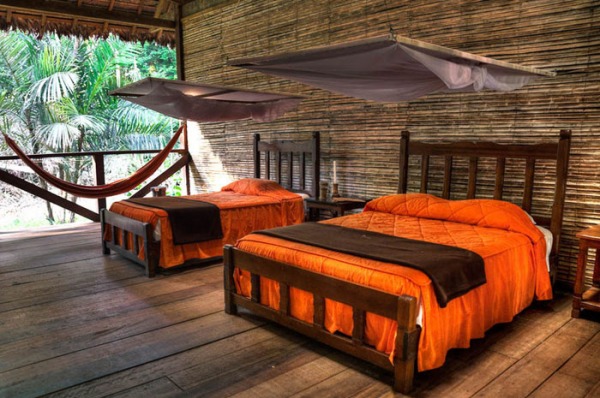 Become Scientists in the Jungle of Peru