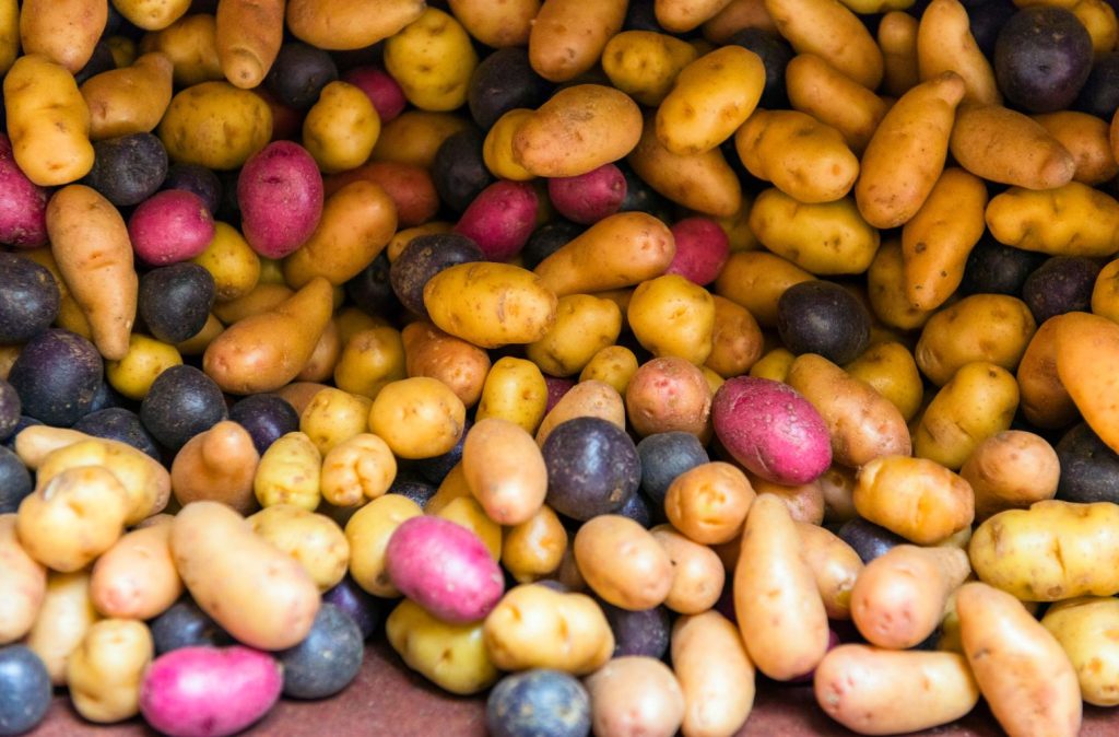 5 Facts You Didn’t Know About Potatoes