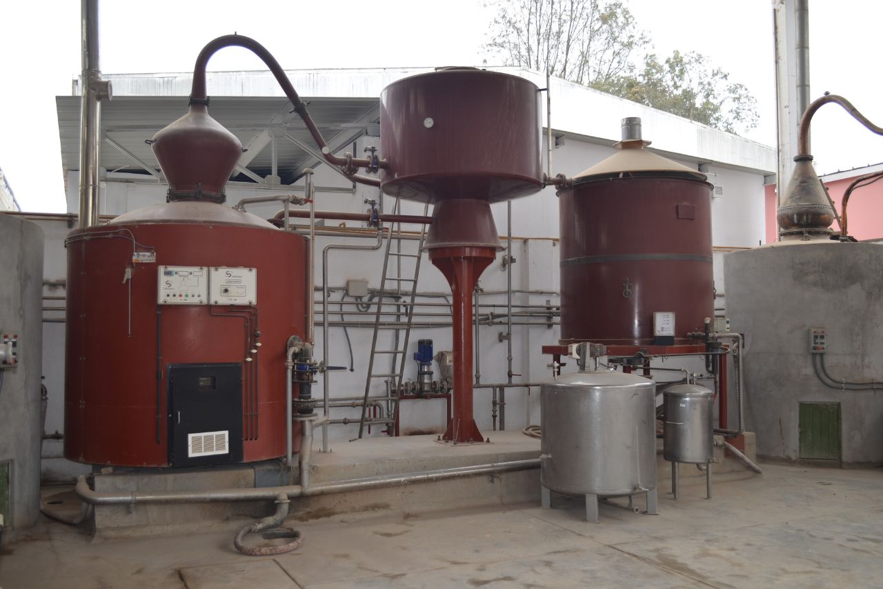Pisco distillation in Peru