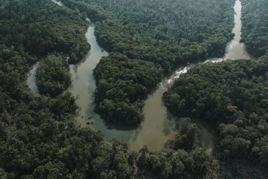 Two Amazons, Two Experiences. The Peruvian Amazon guide