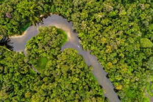 The peruvian Amazon complete guide